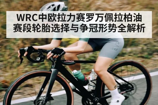 WRC中欧拉力赛罗万佩拉柏油赛段轮胎选择与争冠形势全解析